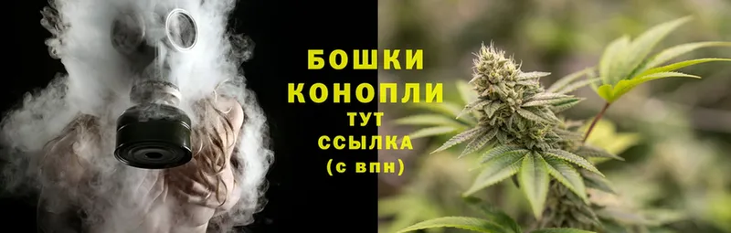 Бошки Шишки OG Kush  закладка  Дудинка 